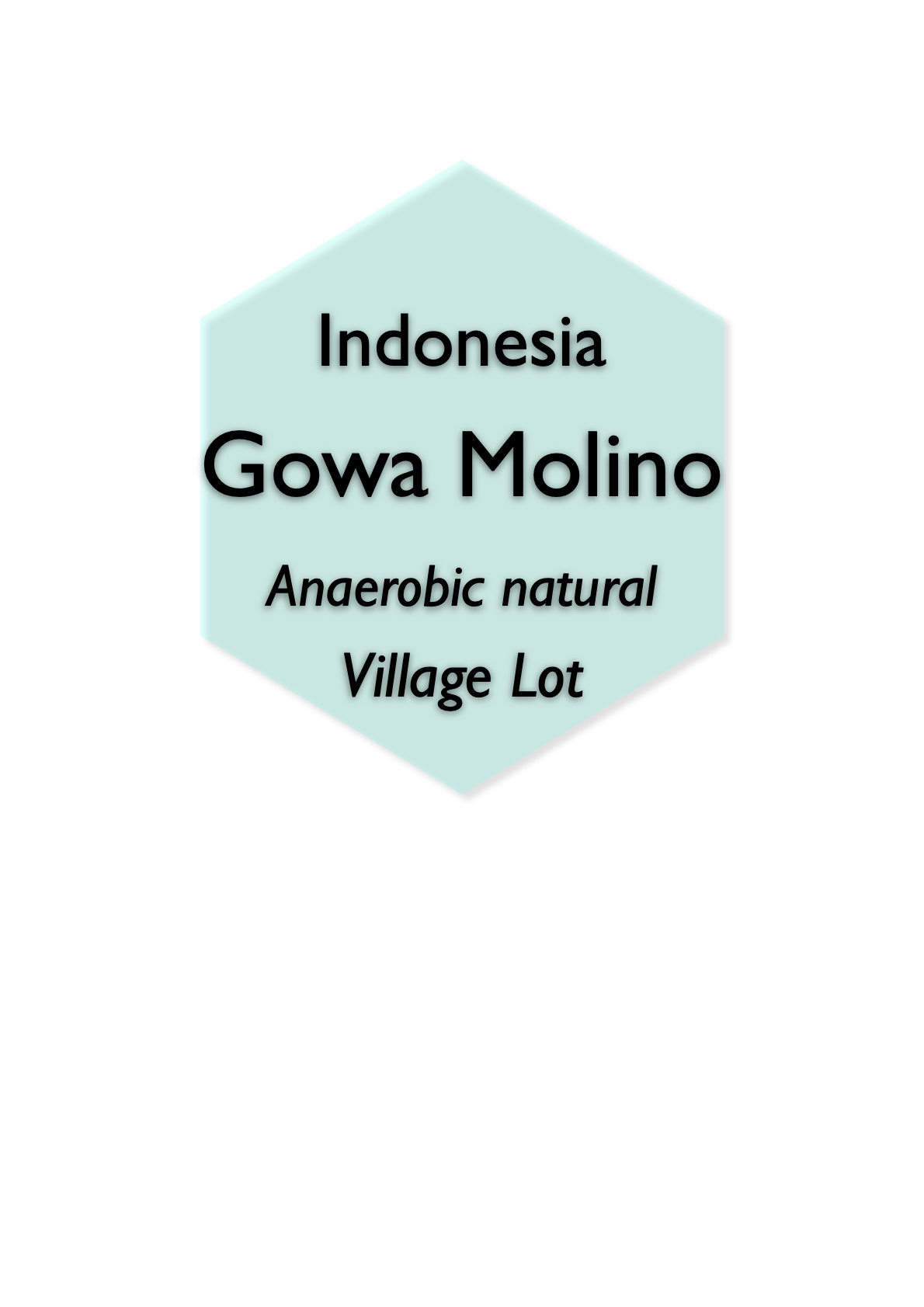 Indonesia Gowa Molino Anaerobic Natural Proces
