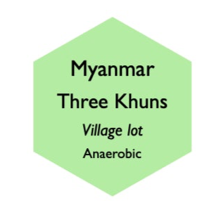 Myanmar Hopong Three Kuhns