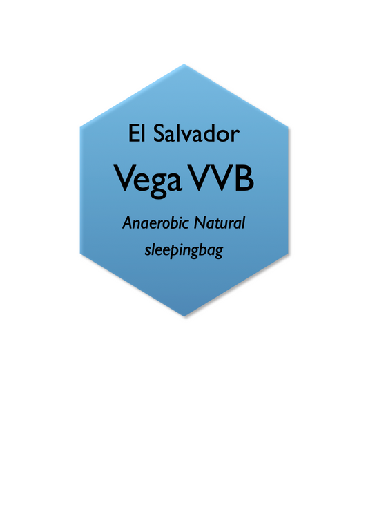 El Salvador Vega VVB