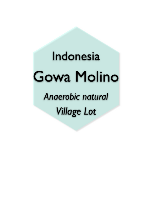 Indonesia Gowa Molino Anaerobic Natural Proces