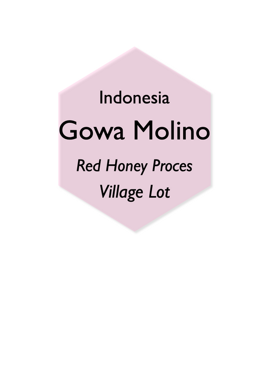 Indonesia Gowa Molino Red Honey